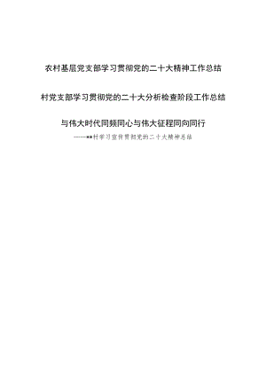 村党支部学习贯彻宣传党的二十大精神分析检查阶段工作总结.docx