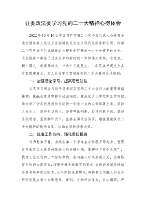 县委政法委学习党的二十大精神心得体会.docx