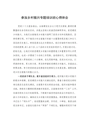 参加乡村振兴专题培训班心得体会.docx