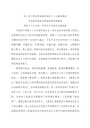 市委书记学习党的二十大报告精神心得体会.docx