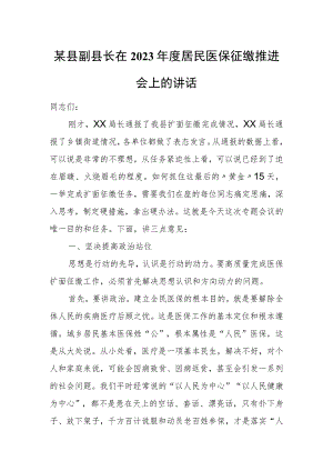 某县副县长在2023年度居民医保征缴推进会上的讲话.docx
