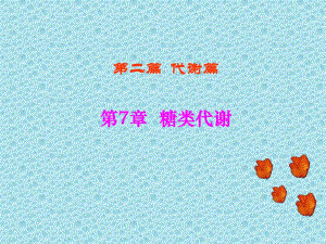 第7章糖类代谢.ppt