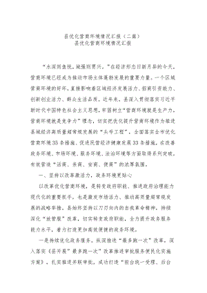 县优化营商环境情况汇报(二篇).docx