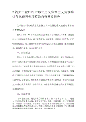 2篇关于做好纠治形式主义官僚主义持续推进作风建设专项整治自查整改报告.docx
