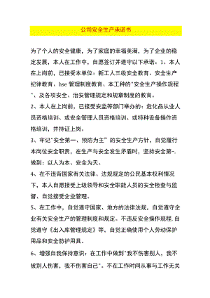 公司安全生产承诺书.docx