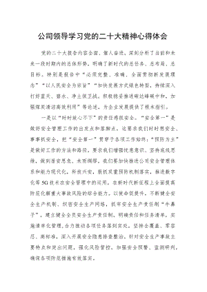 公司领导学习党的二十大精神心得体会.docx