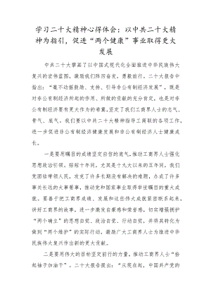 学习二十大精神心得体会：以中共二十大精神为指引促进“两个健康”事业取得更大发展.docx