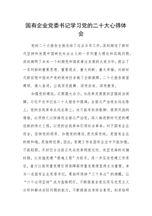 国有企业党委书记学习党的二十大心得体会.docx