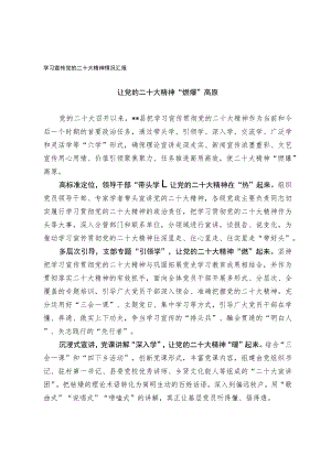 学习宣传党的二十大精神情况汇报材料.docx