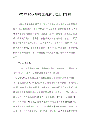 xx市20xx年村庄清洁行动工作总结.docx