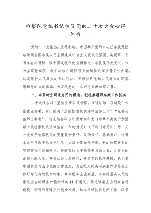 检察院党组书记学习党的二十次大会心得体会.docx