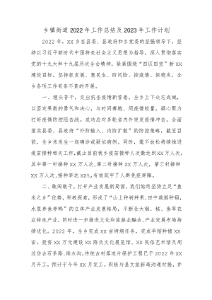 乡镇街道2022年工作总结及2023年工作计划.docx