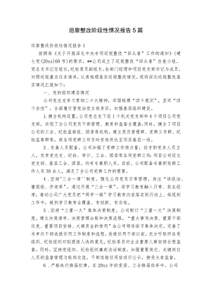 巡察整改阶段性情况报告5篇.docx