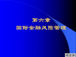 第6章国际金融风险管理.ppt