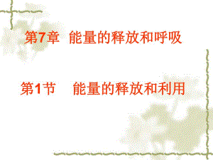 第7章能量的释放和呼吸第1节能量的释放和利用名师编辑PPT课件.ppt
