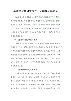 县委书记学习党的二十大精神心得体会.docx