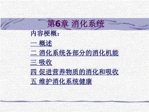 第6章消化和吸收.ppt