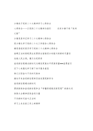 乡镇党员干部贯彻落实二十大精神心得体会研讨发言15篇.docx
