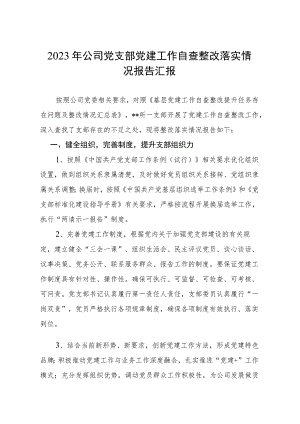 2023年公司党支部党建工作自查整改落实情况报告汇报.docx
