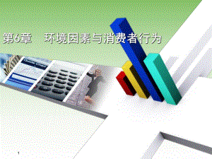 第6章文化对消费者行为的影响.ppt