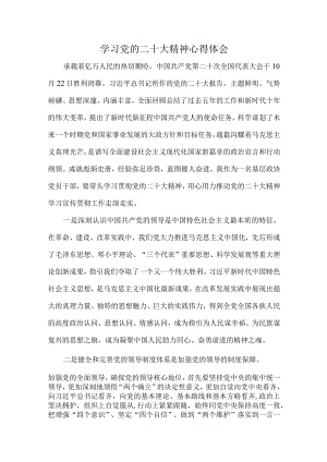 市区计算机软件开发企业基层党组织深入学习党的二十大精神个人心得体会.docx