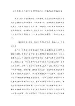 公司团委学习宣传贯彻党的二十大精神的工作实施方案.docx
