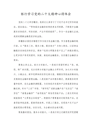 银行学习党的二十大精神心得体会.docx