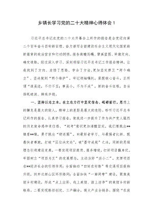 乡长镇长贯彻落实学习党的二十大报告精神心得体会感想6篇.docx