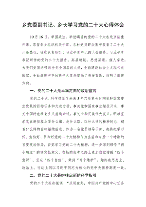 乡党委副书记、乡长学习党的二十大心得体会.docx