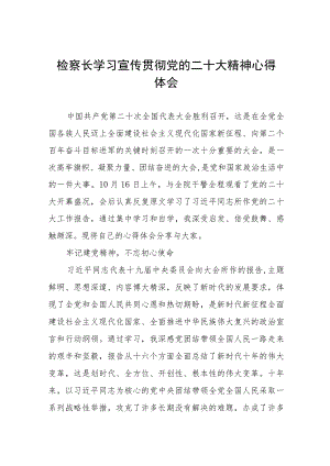 检察长学习宣传贯彻党的二十大精神心得体会.docx