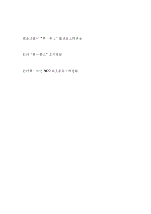 2022在全区驻村“第一书记”座谈会上的讲话和驻村“第一书记”工作总结.docx
