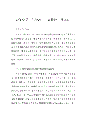 青年党员干部学习二十大精神心得体会（四篇）.docx