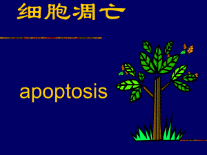 第7章细胞凋亡与疾病名师编辑PPT课件.ppt