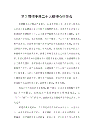 学习贯彻中共二十大精神心得体会.docx