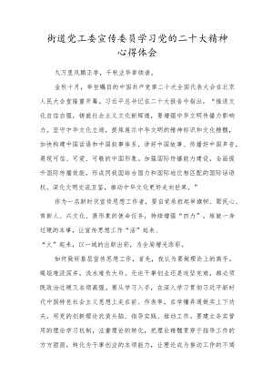 街道党工委宣传委员学习党的二十大精神心得体会.docx