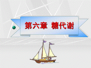 第6章糖代谢.ppt