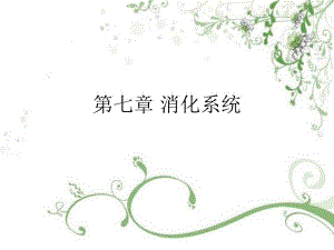 第7章消化系统.ppt