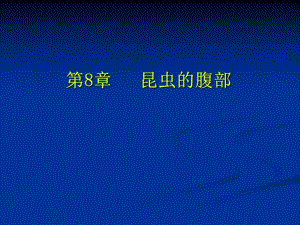 第8章昆虫的腹部名师编辑PPT课件.ppt