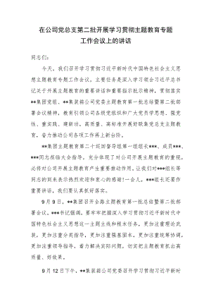 在公司党总支第二批开展学习贯彻主题教育专题工作会议上的讲话.docx