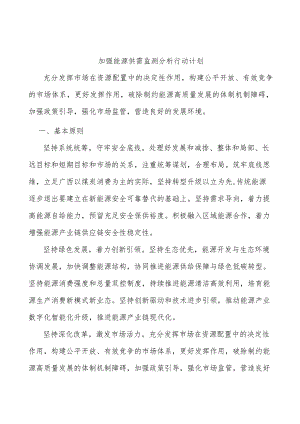 加强能源供需监测分析行动计划.docx