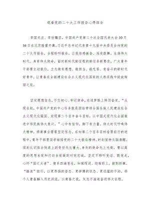 观看党的二十大工作报告心得体会.docx