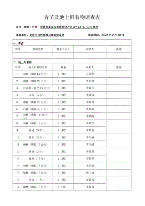青苗及地上附着物调查表.docx