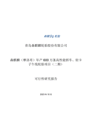 森麒麟：森麒麟（摩洛哥）年产600万条高性能轿车、轻卡子午线轮胎项目（二期）可行性研究报告.docx