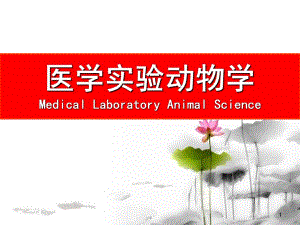 第一章绪论.ppt