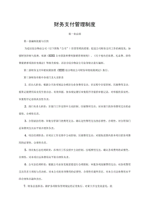 财务支付管理制度.docx