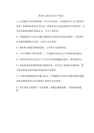 作业人员安全生产责任.docx