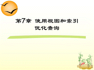 第7章 使用视图和索引优化查询.ppt