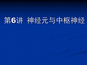第6讲神经系统.ppt