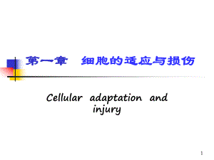 第一章细胞的损伤与适应名师编辑PPT课件.ppt