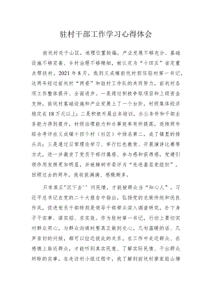 驻村干部工作学习心得体会.docx